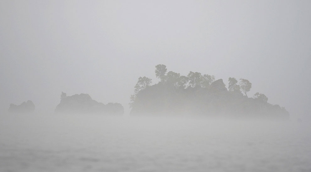 Медведи на Камчатке