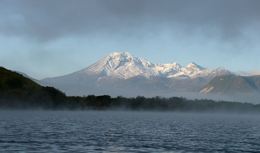 Медведи на Камчатке