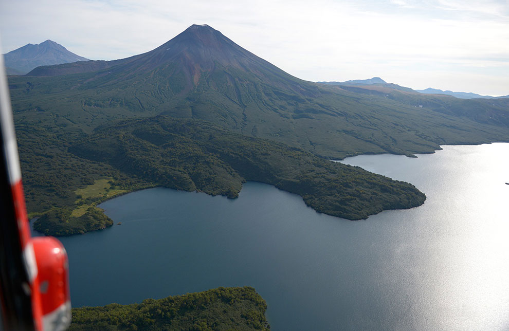 Медведи на Камчатке