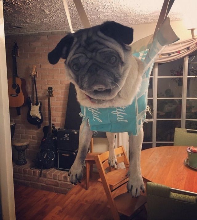 Лайфхаки, которые помогают сделать нашу жизнь проще