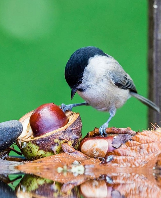 Интересные фото обо всем на свете
