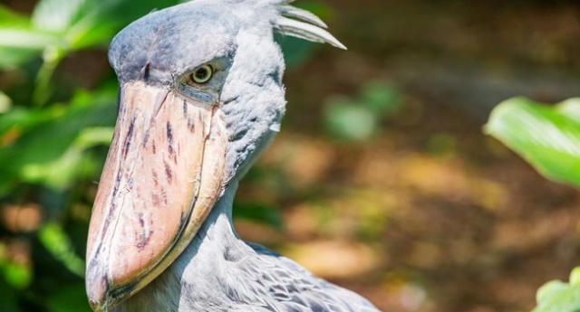 Интересные фото обо всем на свете