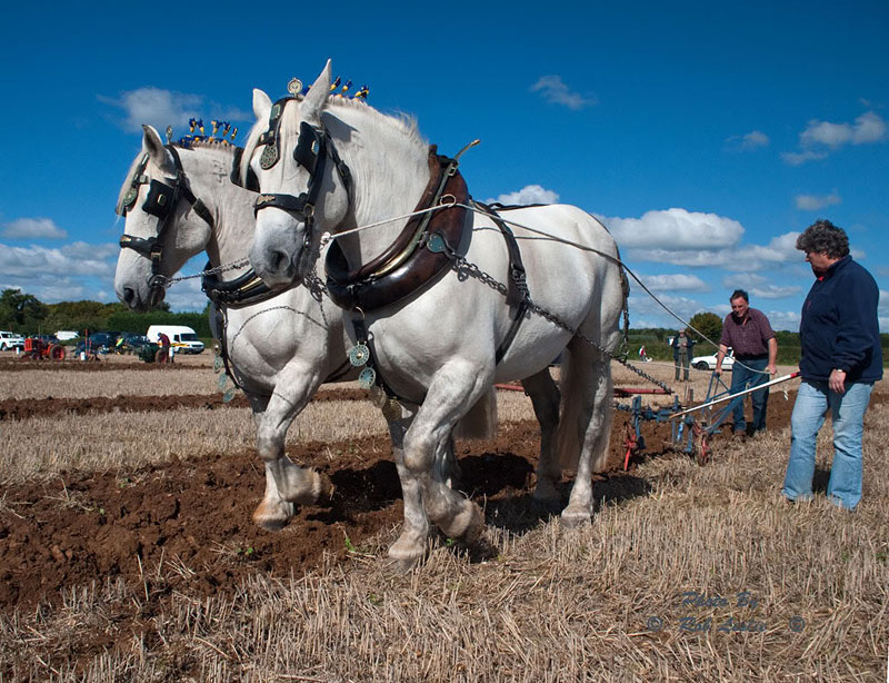 Необычные системы измерения