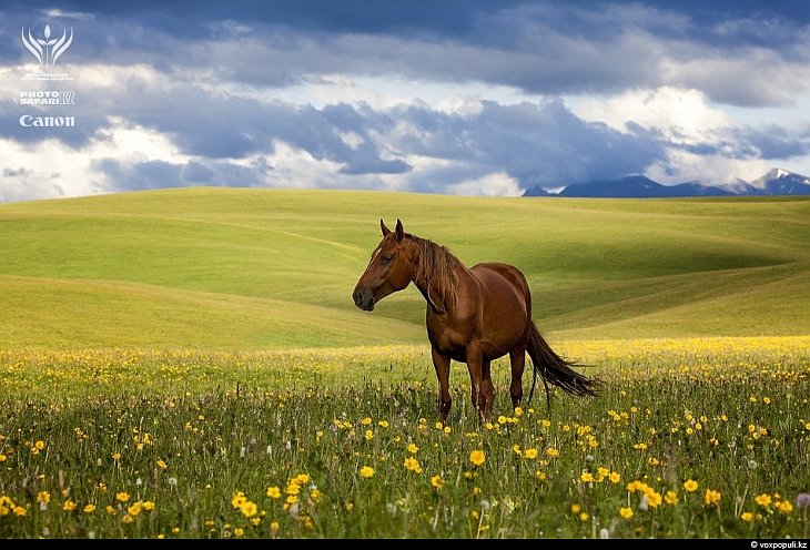 Неизвестный Казахстан