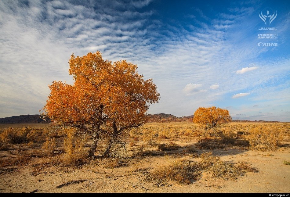 Неизвестный Казахстан