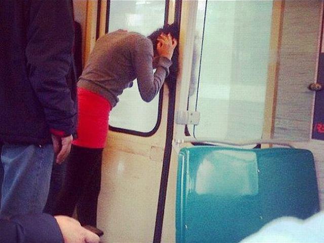 Прикольные картинки