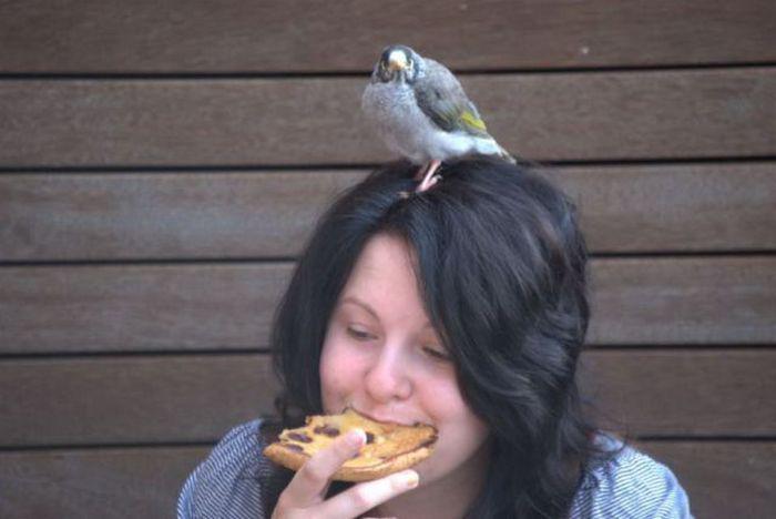 Прикольные картинки