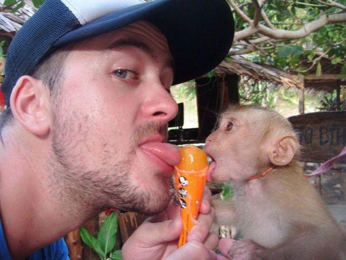 Прикольные картинки