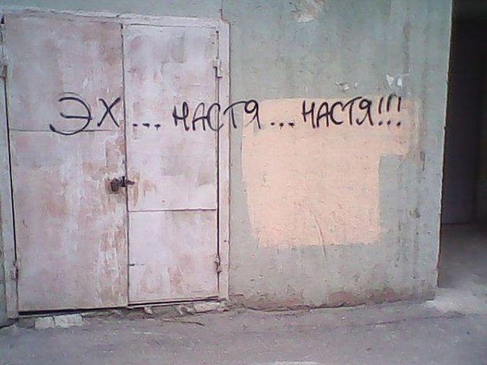 Прикольные картинки