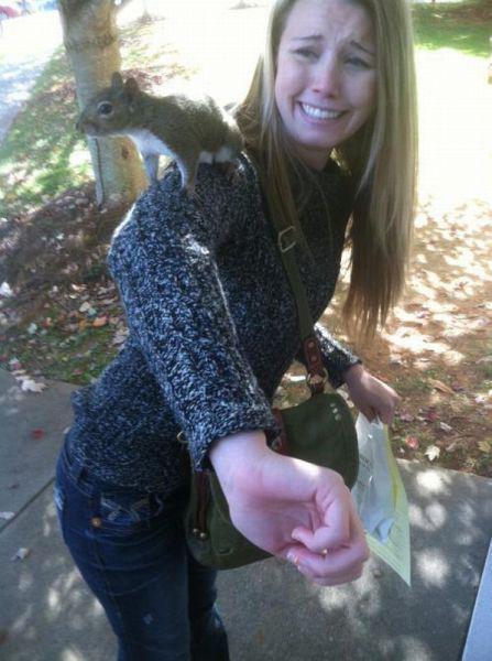 Прикольные картинки