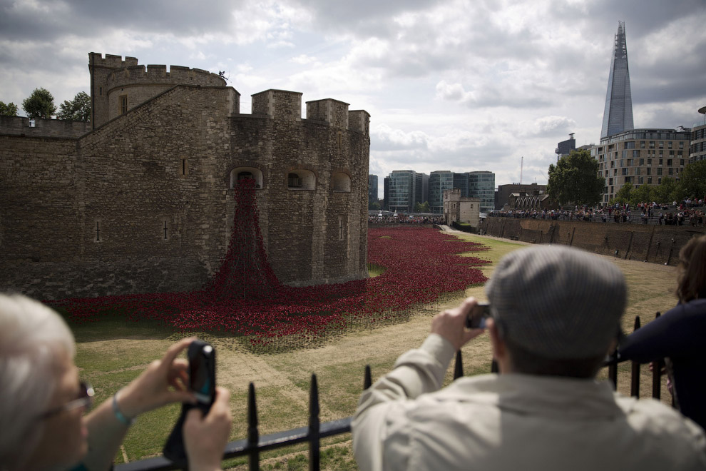 Море красных маков в лондонском Тауэре