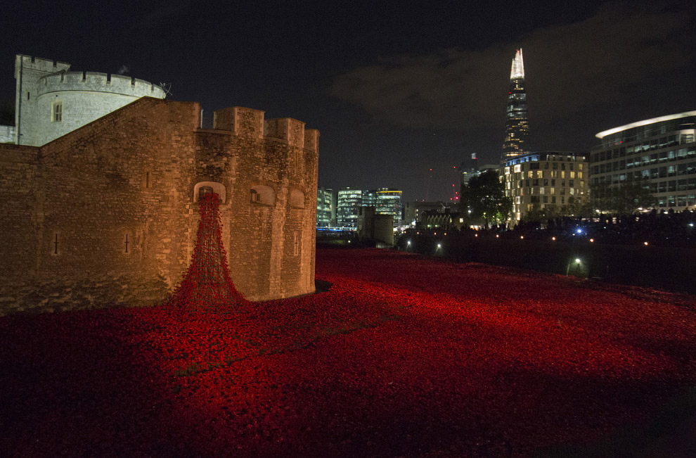 Море красных маков в лондонском Тауэре