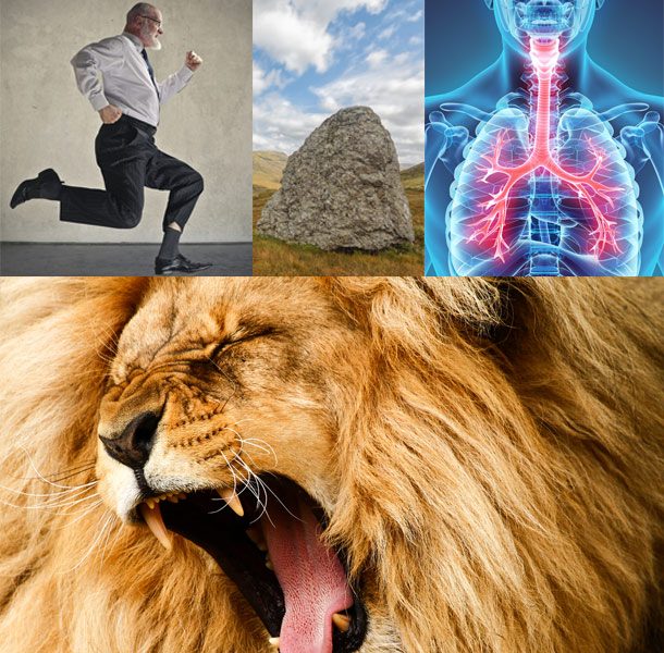 Загадки, которые поставят в тупик Загадки, которые поставят в тупик