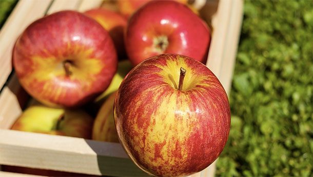 Загадки, которые поставят в тупик Загадки, которые поставят в тупик