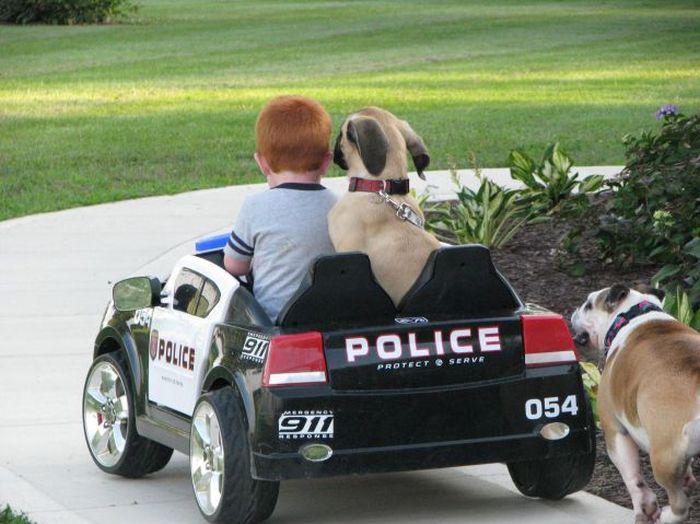 Прикольные картинки