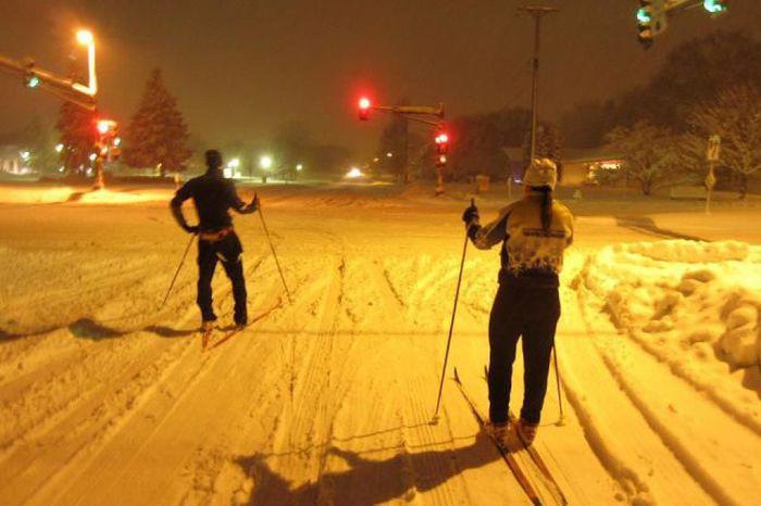 Прикольные картинки