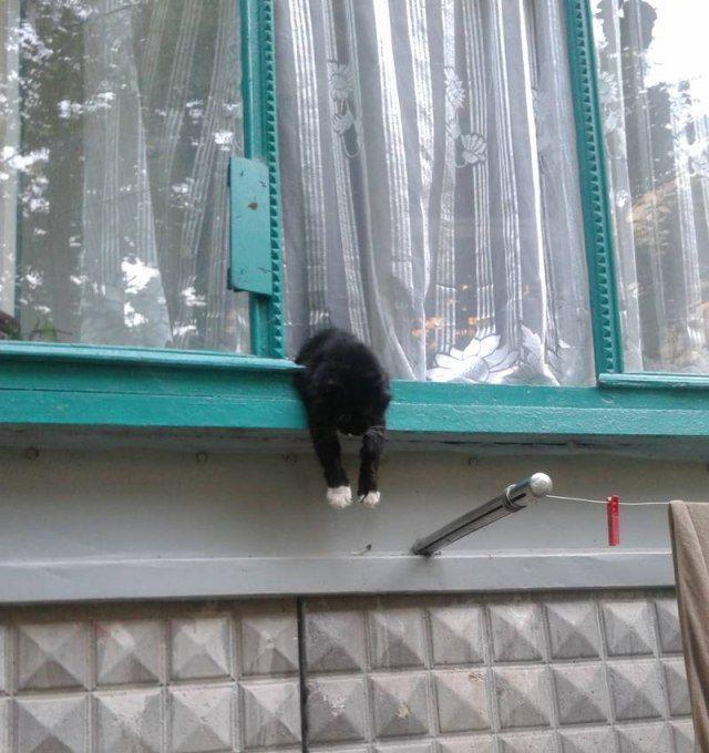 Прикольные картинки