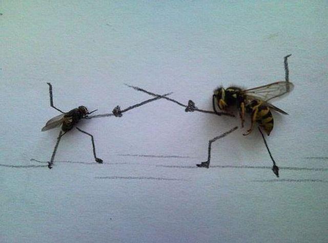 Прикольные картинки