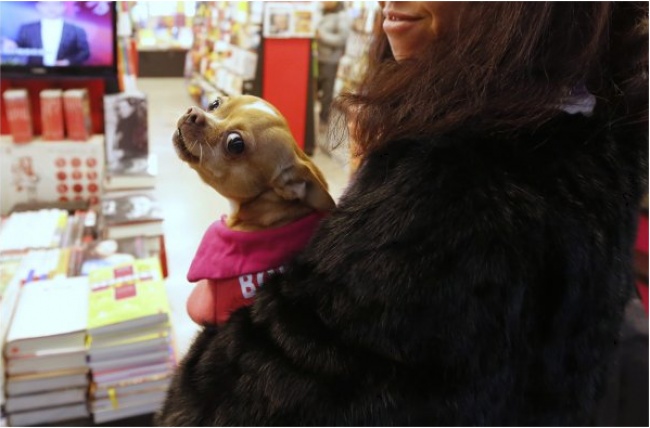 Фотограф Ким Кён-Хун показал, насколько велика пропасть между жизнью богатых и бедных людей в Китае
