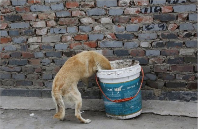 Фотограф Ким Кён-Хун показал, насколько велика пропасть между жизнью богатых и бедных людей в Китае