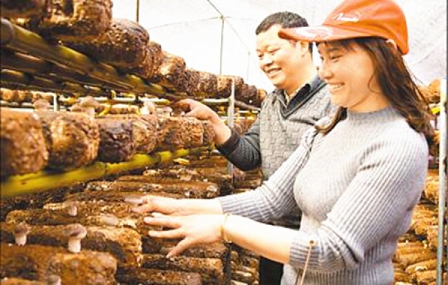 Фотограф Ким Кён-Хун показал, насколько велика пропасть между жизнью богатых и бедных людей в Китае