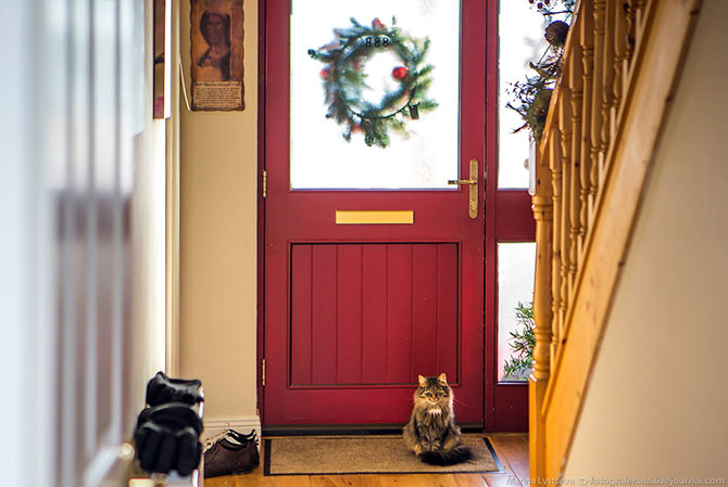 Как отпраздновали Рождество в Ирландии