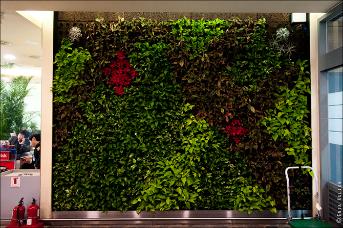 Как выглядят клозеты Сеульского международного аэропорта