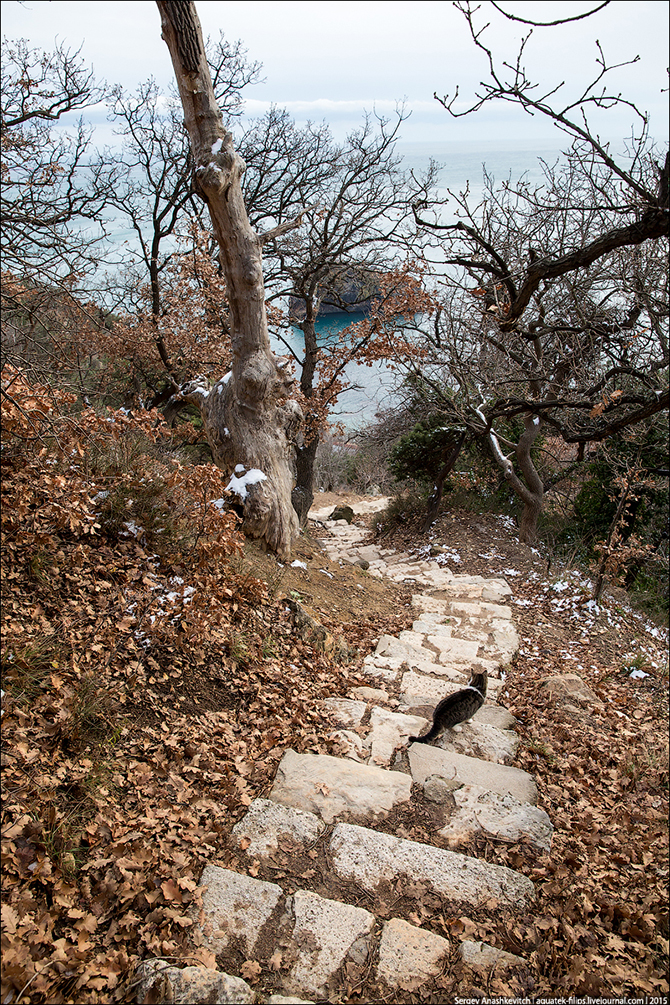 Крымское межсезонье. Мыс Фиолент и Яшмовый пляж