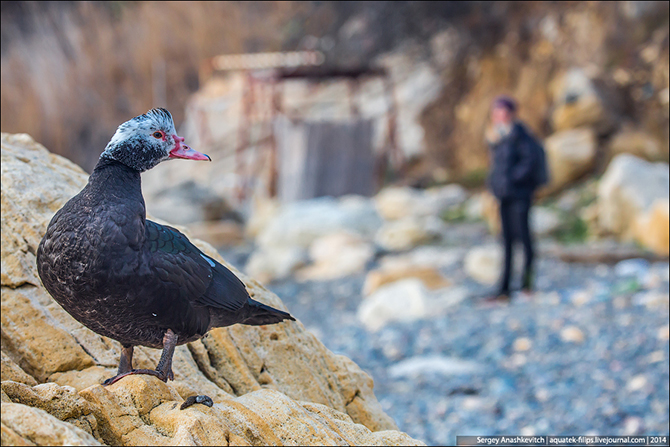 Крымское межсезонье. Мыс Фиолент и Яшмовый пляж