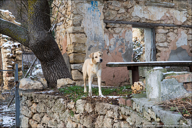 Крымское межсезонье. Мыс Фиолент и Яшмовый пляж