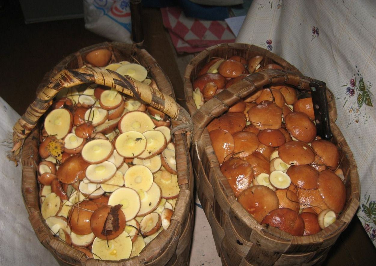 Позитив из деревни