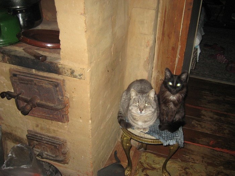 Позитив из деревни