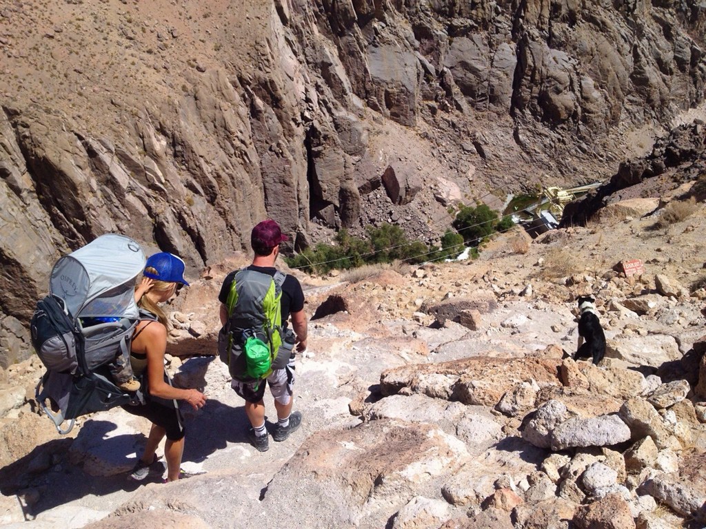 Двухлетний путешественник уже прошел около 300 миль