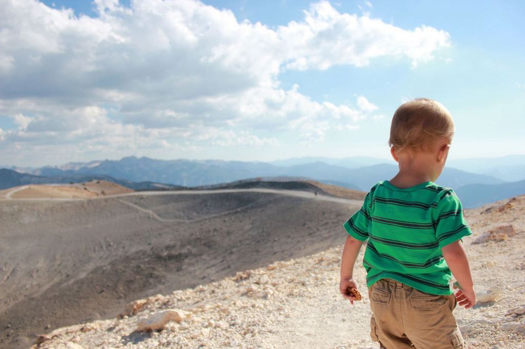 Двухлетний путешественник уже прошел около 300 миль