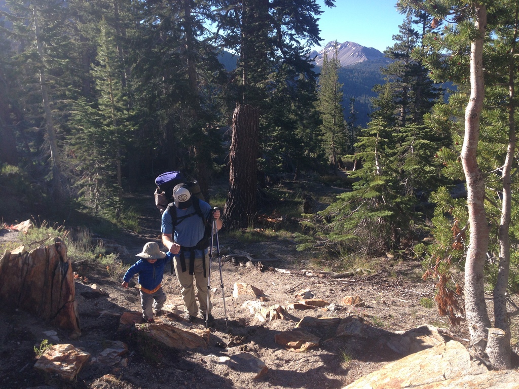 Двухлетний путешественник уже прошел около 300 миль