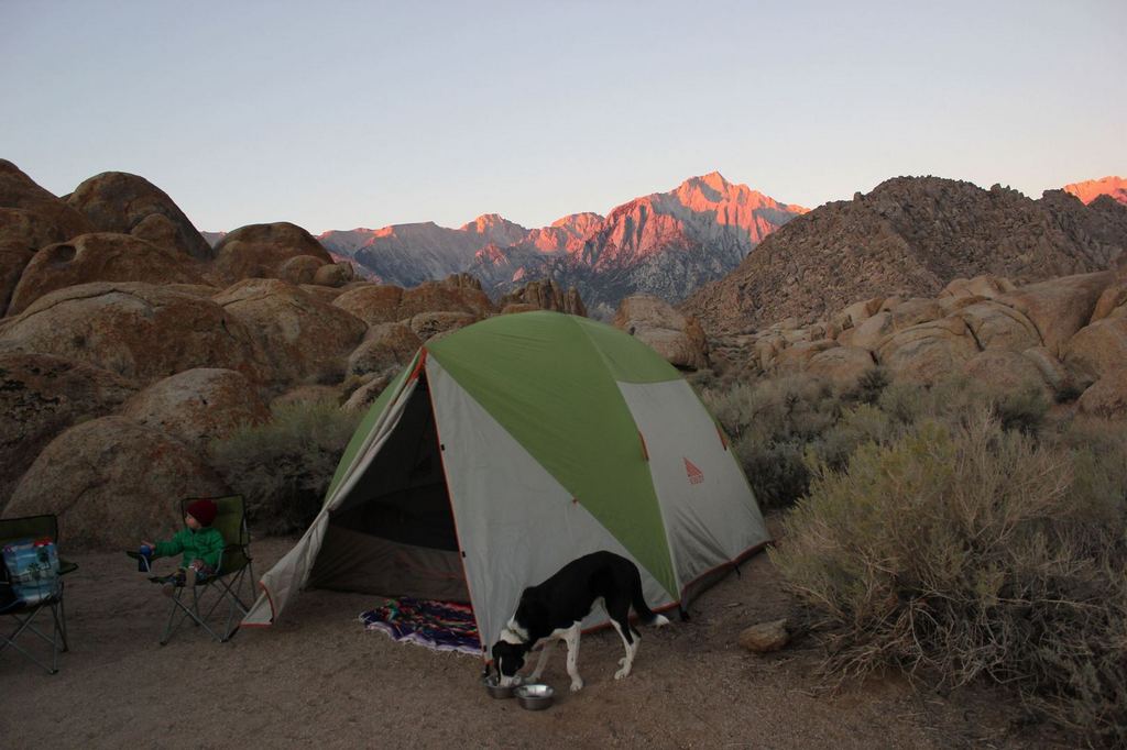 Двухлетний путешественник уже прошел около 300 миль