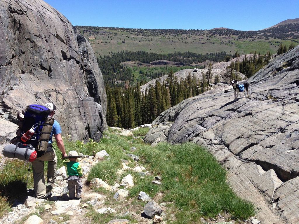 Двухлетний путешественник уже прошел около 300 миль