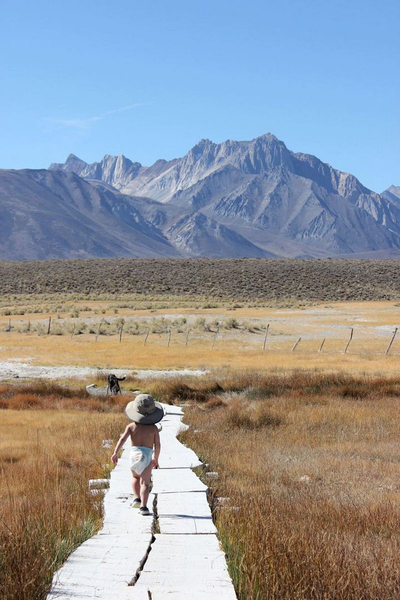 Двухлетний путешественник уже прошел около 300 миль