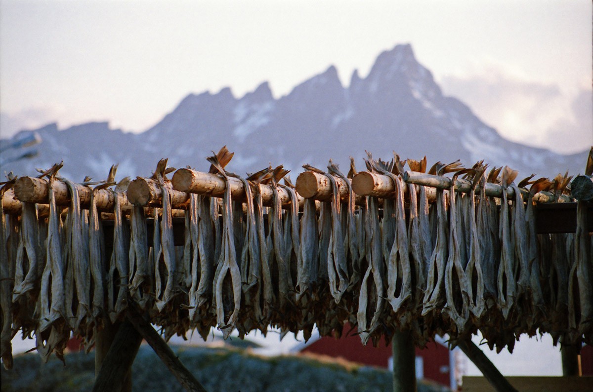 Лофотенские острова Норвегии