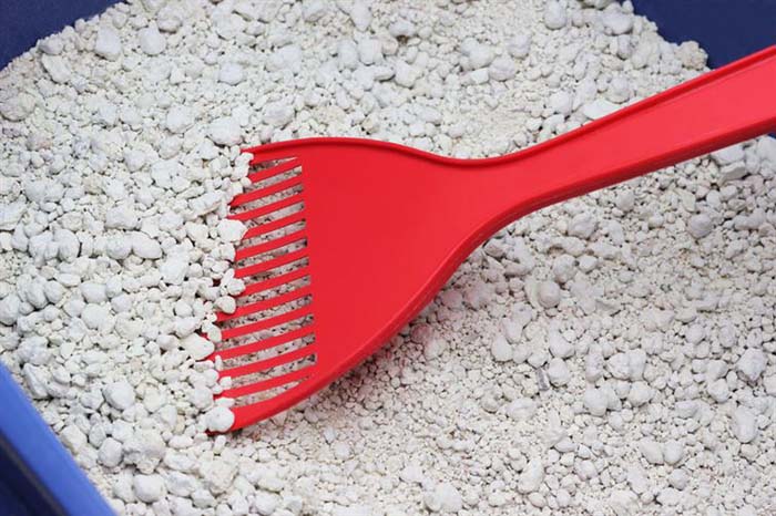 Зимние лайфхаки, которые следует знать каждому