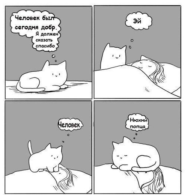 Смешные комиксы