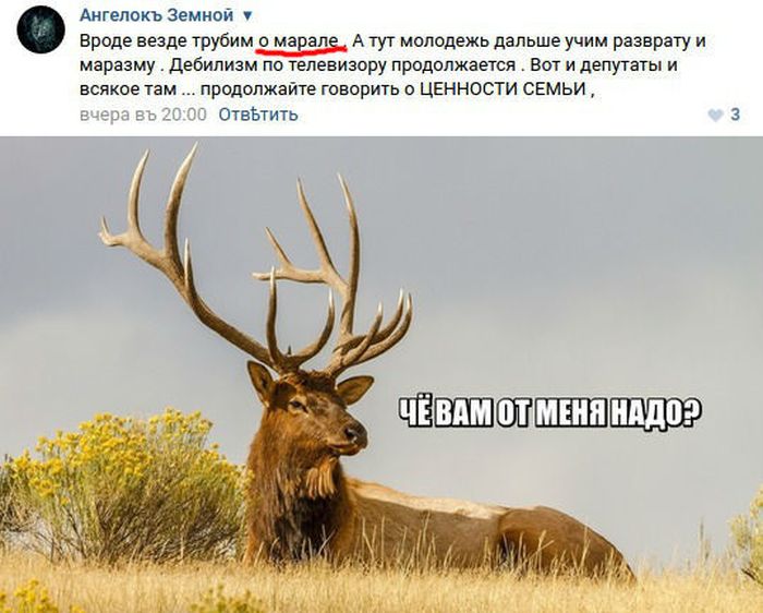 Забавные комментарии из социальных сетей