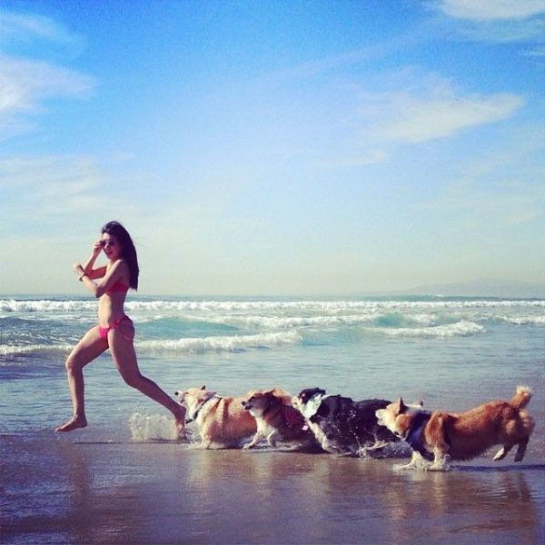 Прикольные картинки (60 фото)