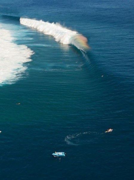 Прикольные картинки (60 фото)