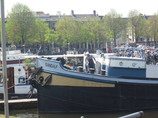 Прикольные картинки (60 фото)