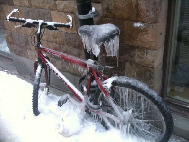 Прикольные картинки (60 фото)