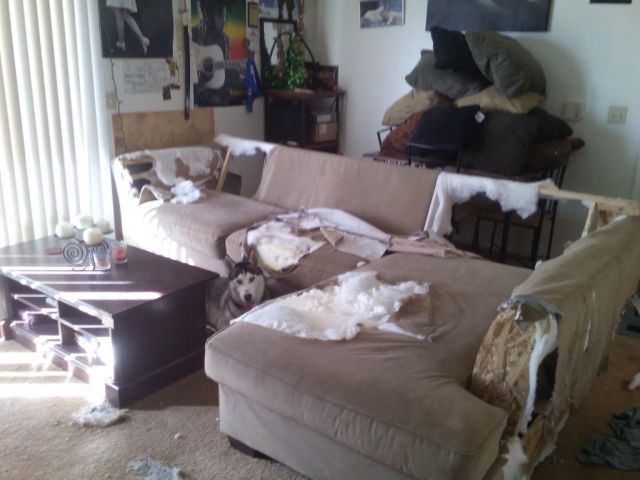 Прикольные картинки (60 фото)