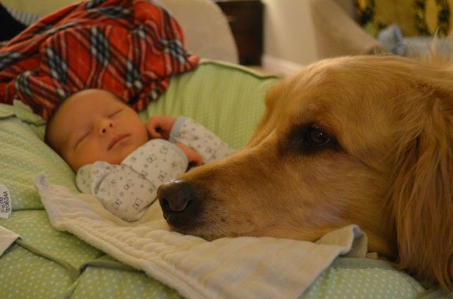 Прикольные картинки (60 фото)