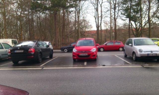 Прикольные картинки (60 фото)