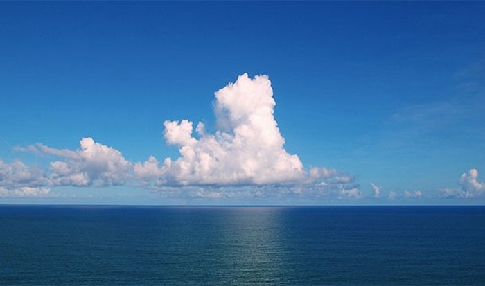 Печальные факты, связанные с изменением климата на земле